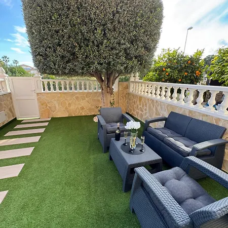 Olive Tree La Zenia